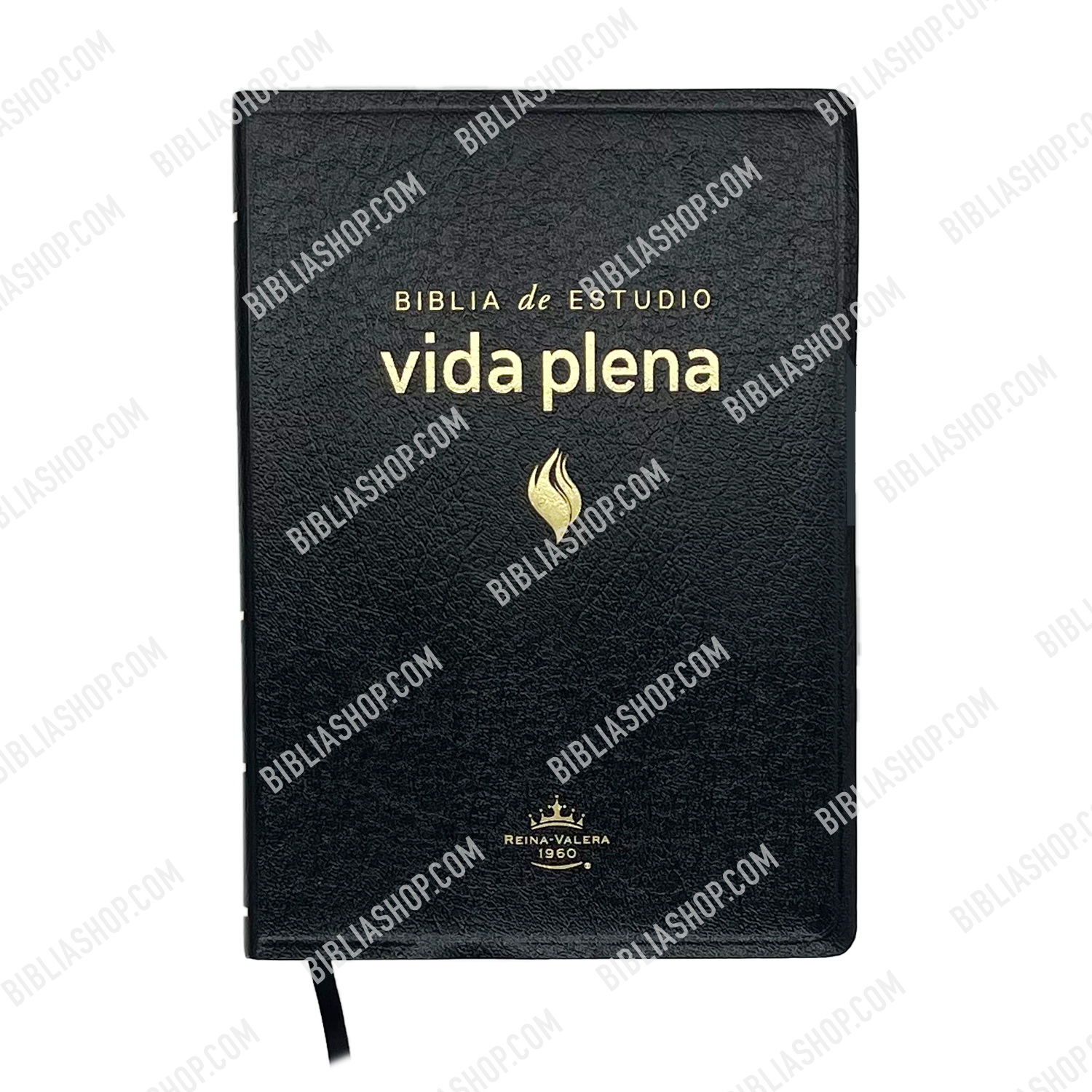 Vida Plena 2
